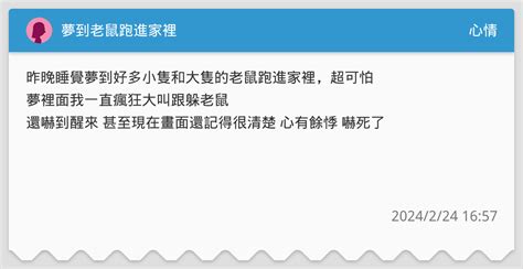 夢到老鼠跑進家裡